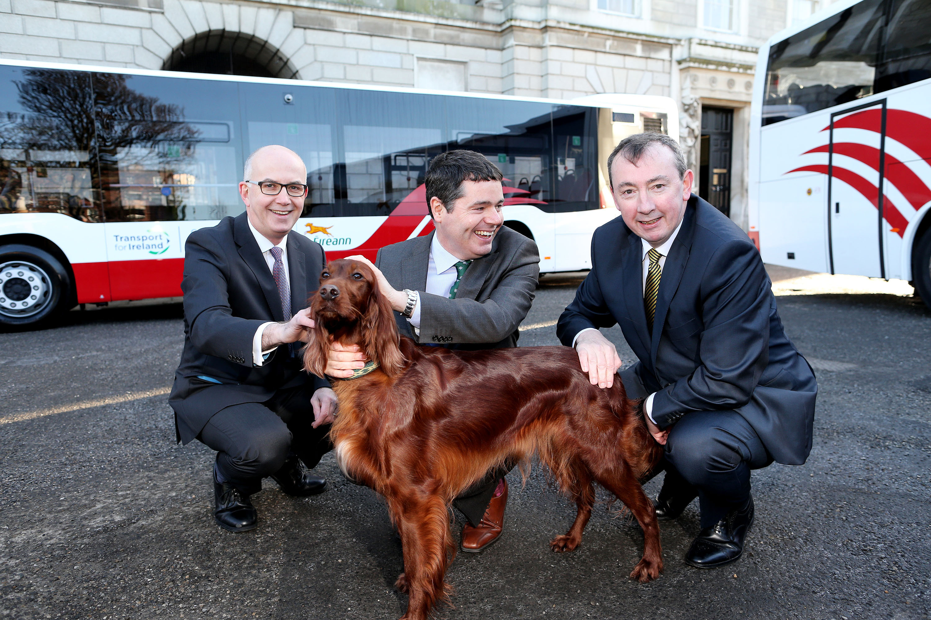 are dogs allowed on buses in ireland