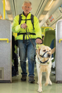 guide dog with man on board 400x600